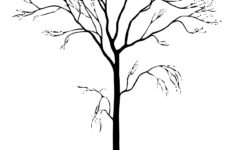 Free Printable Tree Coloring Pages For Kids