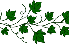 Free Vine Clip Art Download Free Vine Clip Art Png Images Free