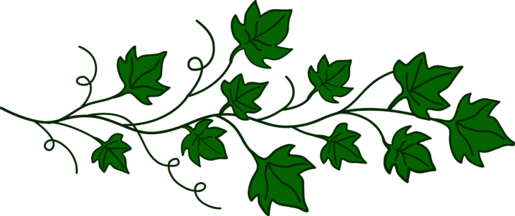 Printable Leaves Vines Clipart