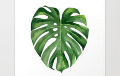 Fresh From The Dairy Going Green