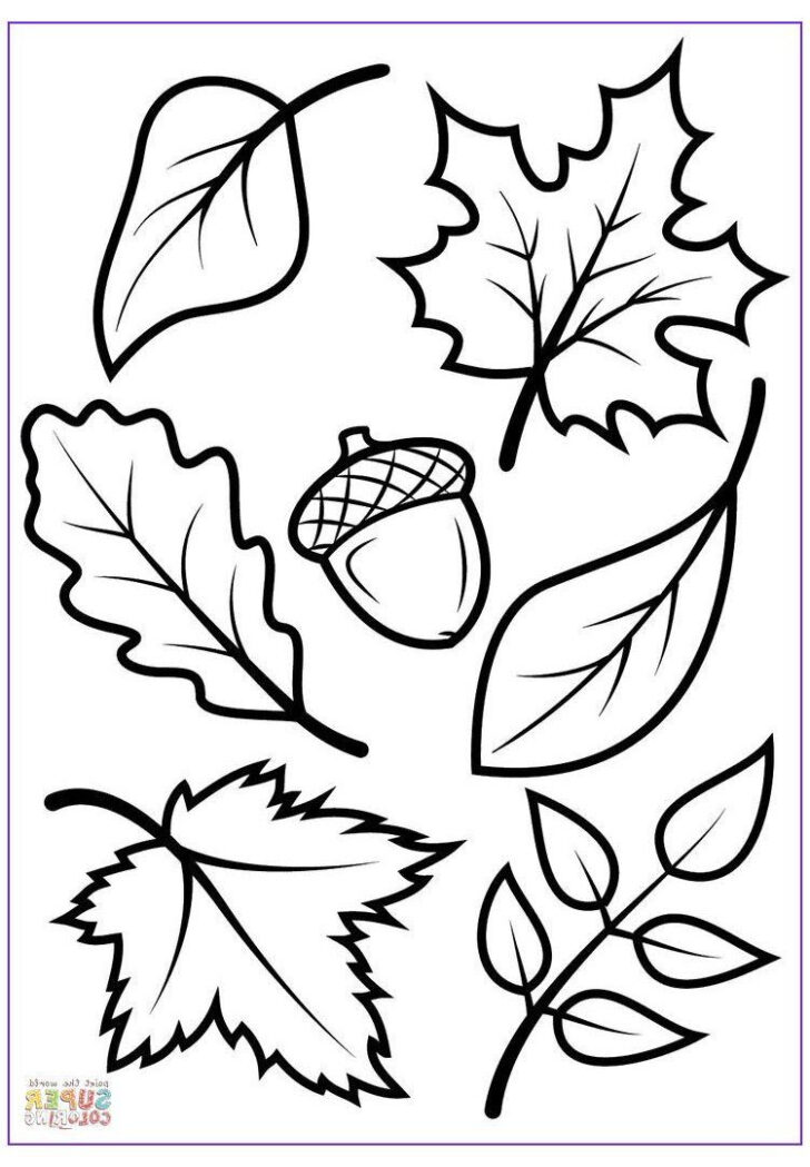 Leaves Coloring Sheets Printable