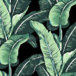 Green Banana Leaf Pattern Wallpaper Mural Wallmur