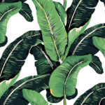 Green Banana Leaf Pattern Wallpaper Mural Wallpaper Wallmur