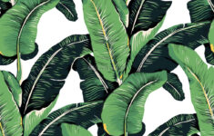 Green Banana Leaf Pattern Wallpaper Mural Wallpaper Wallmur