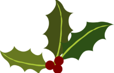Green Holly Berries Christmas Transparent Image Holly Berries Holly
