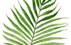Green Leaf Art A077 Set Of 4 Art Prints 8x10 Green Wall Art Palm Leaf
