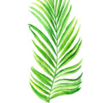 Green Palm Leaf Print Painting By Green Palace Fine Art America