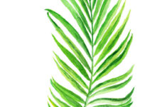 Green Palm Leaf Print Painting By Green Palace Fine Art America
