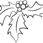 Holly Leaf Drawing At GetDrawings Free Download