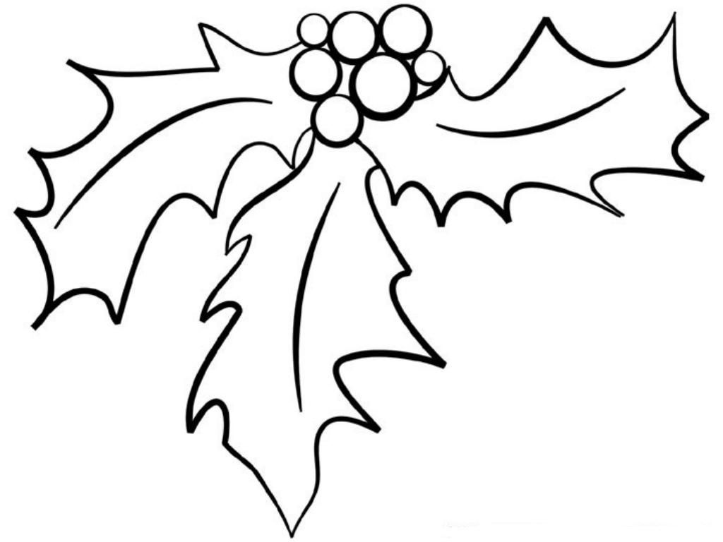 Holly Leaf Drawing At GetDrawings Free Download