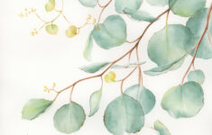 Incredible Eucalyptus Clip Art Free Ideas