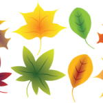 Instant Download Fall Clipart Fall Leaves Clip Art Commercial Use Clip