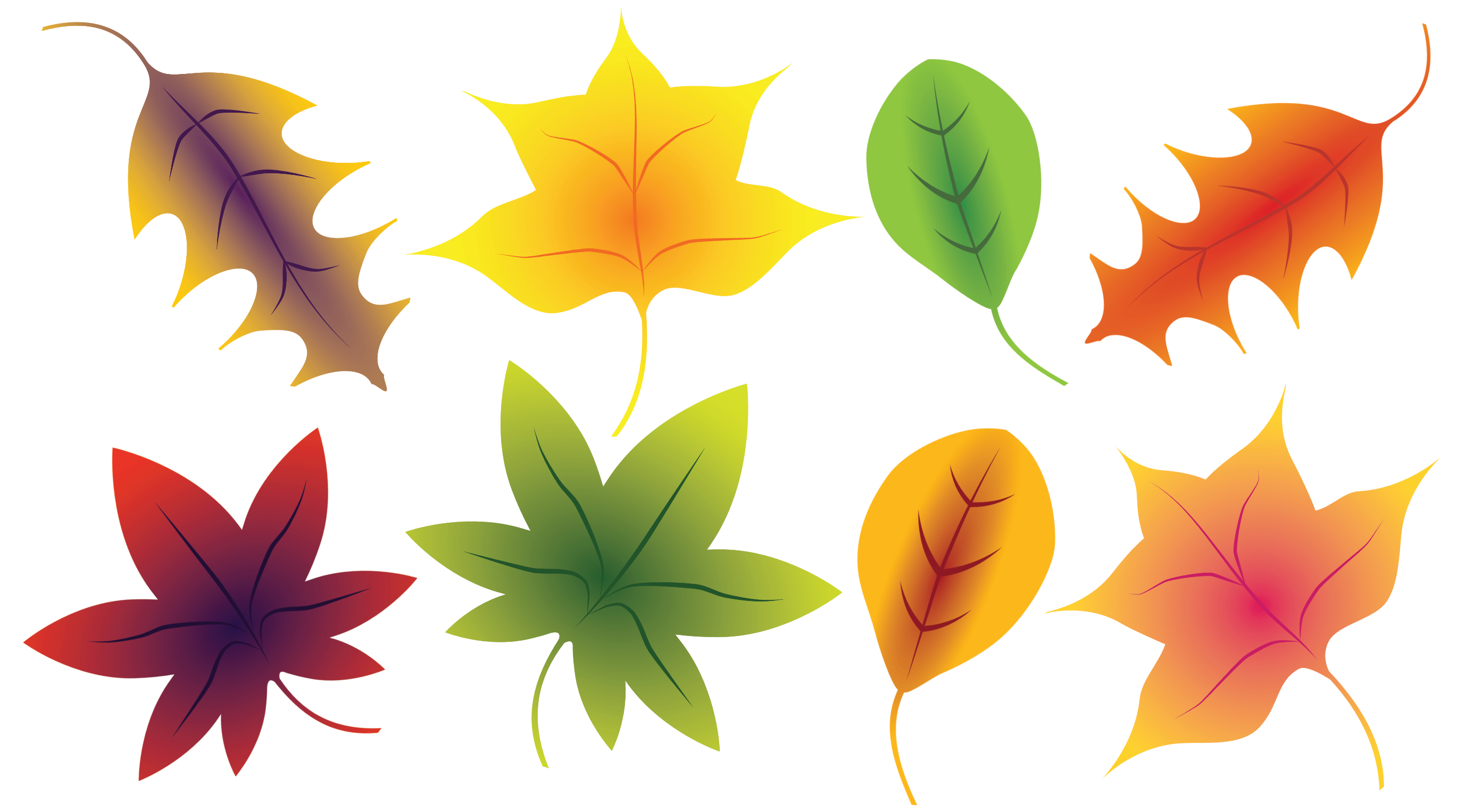Instant Download Fall Clipart Fall Leaves Clip Art Commercial Use Clip 