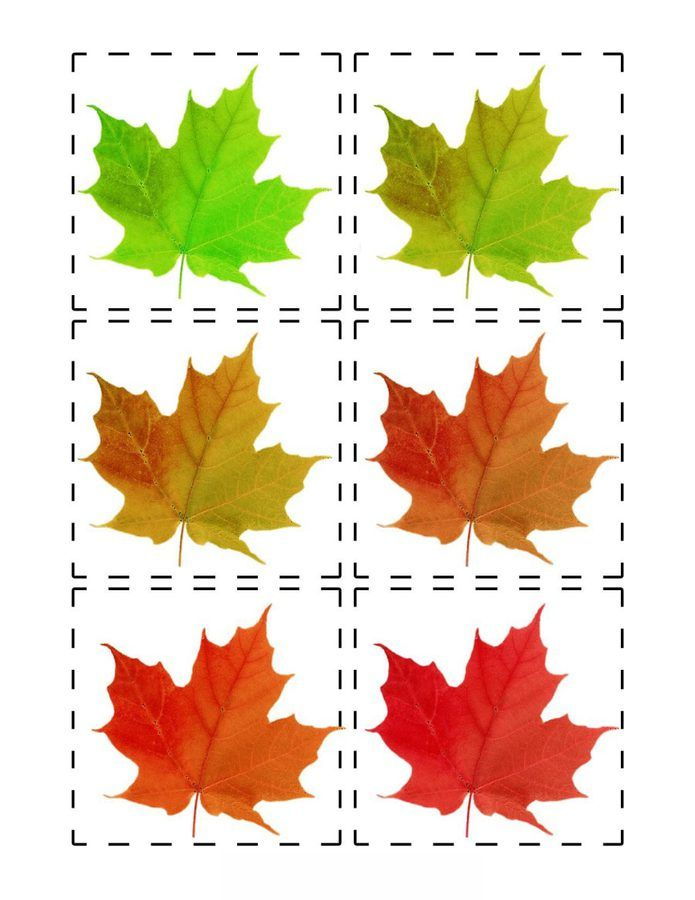 Colorful Fall Leaves Printables