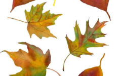 Jessica Sporn Designs Printables