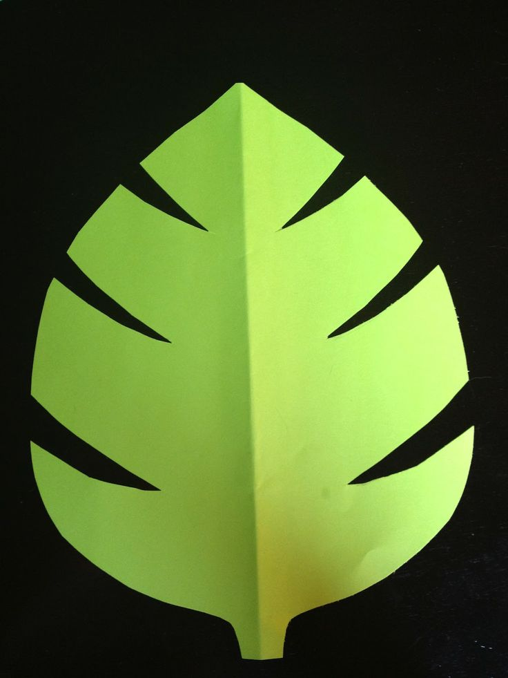 Jungle Leaf Template Clipartsco Templates For Jungle Leaves Use This 