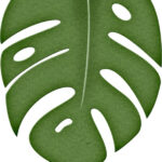 Jungle Leaves Clipart At GetDrawings Free Download