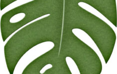 Jungle Leaves Clipart At GetDrawings Free Download