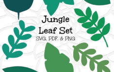 Jungle Safari Leaf Templates Set Of 8 Leaf Template Printable Leaf