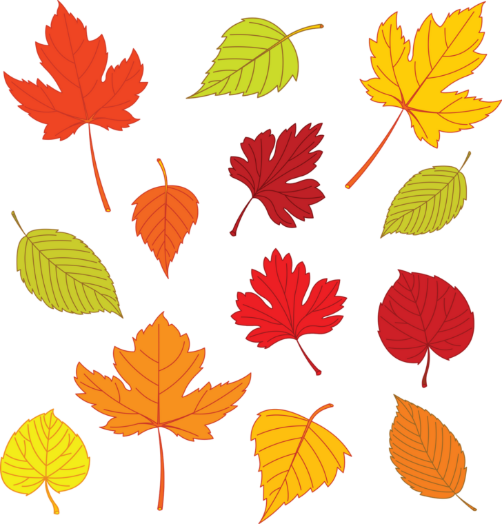 Leaves To Colour Printable