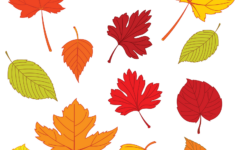 Leaf Clipart Uvjord