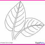 Leaf Coloring Pages For Kids Coloring Home