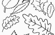Leaf Coloring Pages NEO Coloring