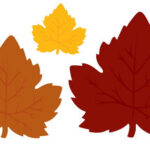 Leaf Cut Outs ClipArt Best