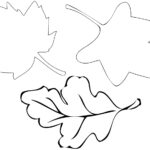 Leaf Cut Outs ClipArt Best