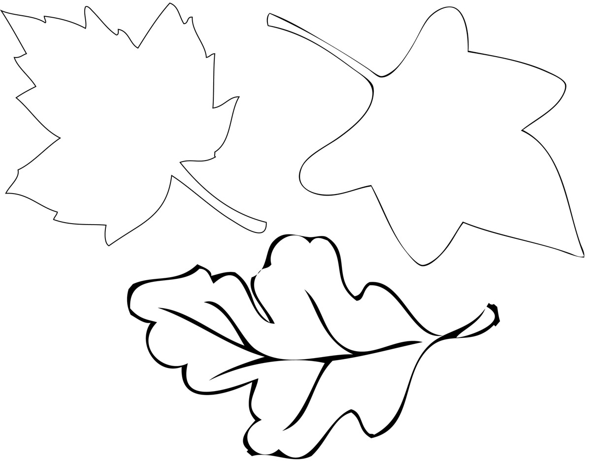 Leaf Cut Outs ClipArt Best