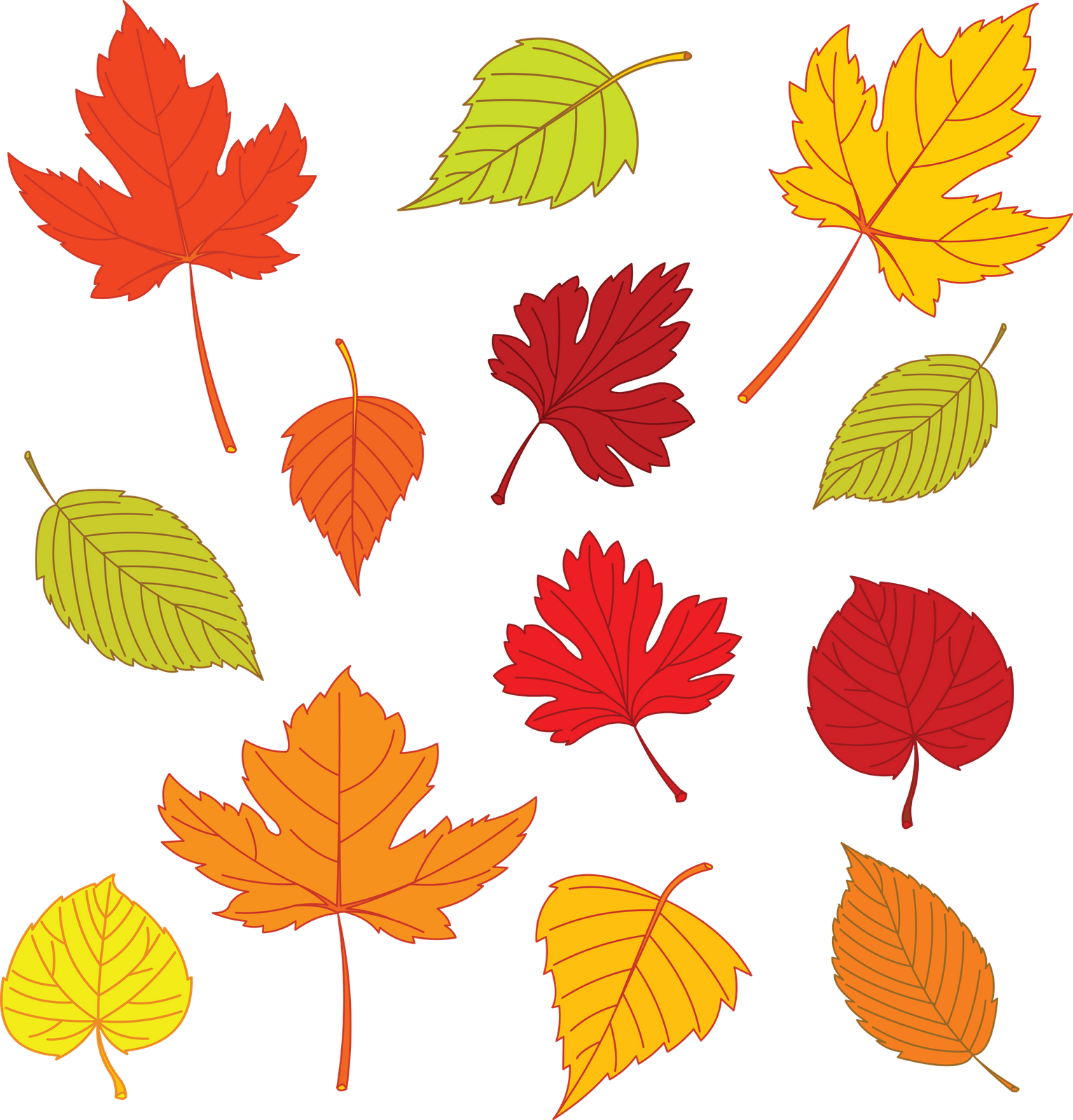 Leaf Drawing Template At GetDrawings Free Download