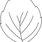 Leaf Pattern Bw Crafts And Worksheets For Preschool Toddler And