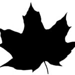 Leaf Silhouette Free Stock Photo Public Domain Pictures