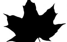 Leaf Silhouette Free Stock Photo Public Domain Pictures