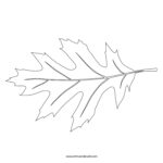 Leaf Stencil Tim S Printables