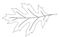 Leaf Stencil Tim s Printables