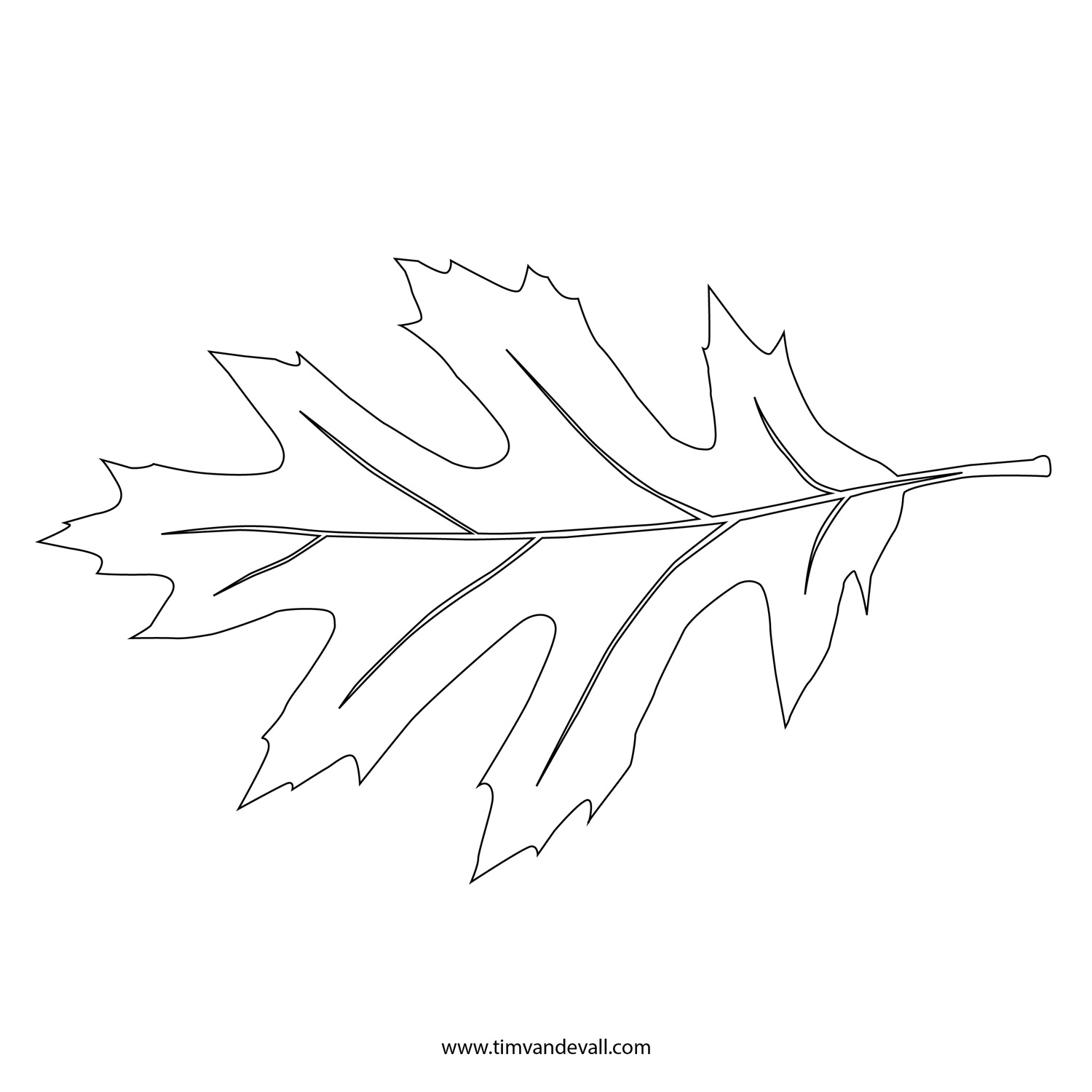 Leaf Stencil Tim s Printables