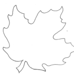 Leaf Template Cliparts Co