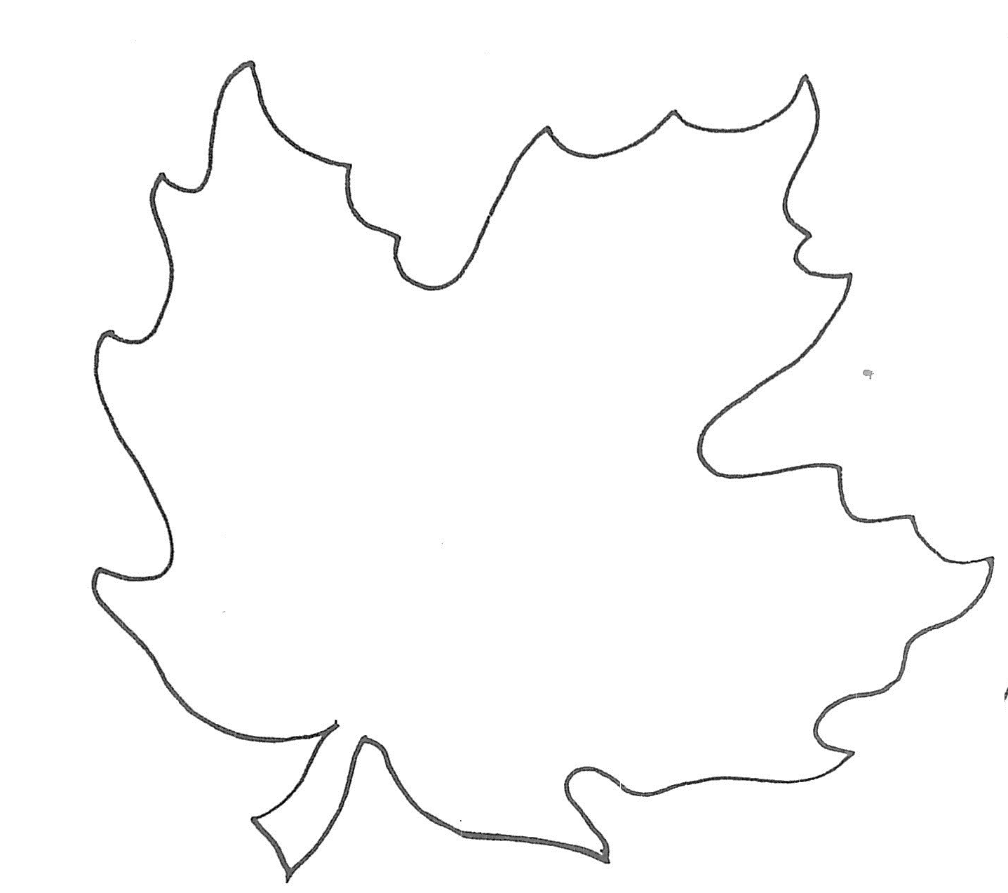 Leaf Template Free ClipArt Best