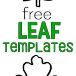 Leaf Template Free Printable Leaf Outlines One Little Project Leaf
