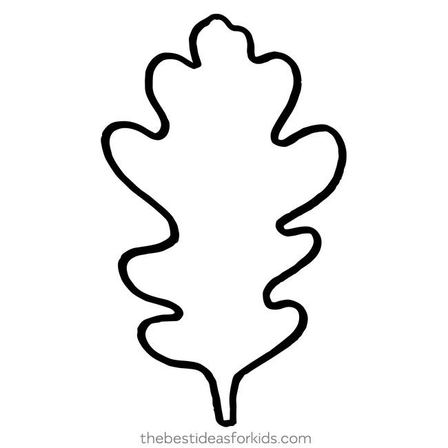 Leaf Template Leaf Template Fall Leaf Template Leaf Outline