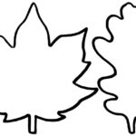 Leaf Template The Best Ideas For Kids