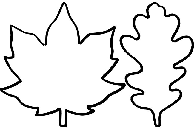 Leaf Template The Best Ideas For Kids