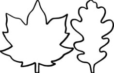Leaf Template The Best Ideas For Kids Leaf Template Printable Leaf