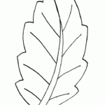 Leaf Templates Colouring Pages