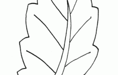 Leaf Templates Colouring Pages