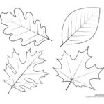 Leaf Templates Leaf Coloring Pages For Kids Leaf Printables Tim S