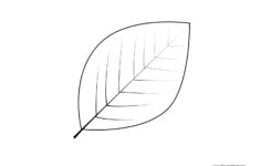 Leaf Templates Leaf Coloring Pages For Kids Leaf Printables Tim s