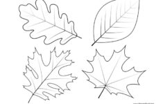 Leaf Templates Leaf Coloring Pages For Kids Leaf Printables Tim s
