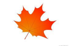 Leaf Templates Leaf Coloring Pages For Kids Leaf Printables Tim s